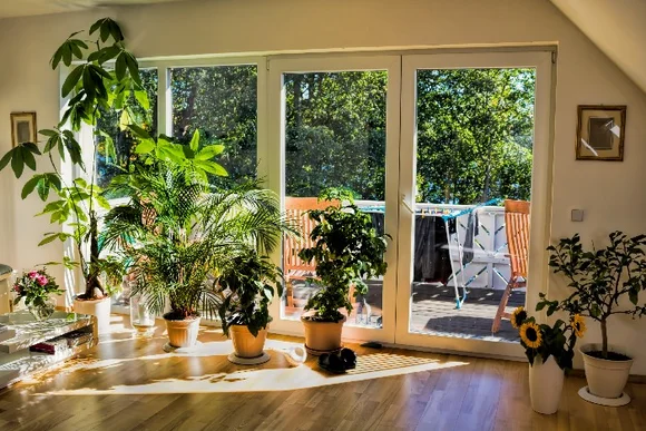 Heller Wintergarten mit vielen Pflanzen